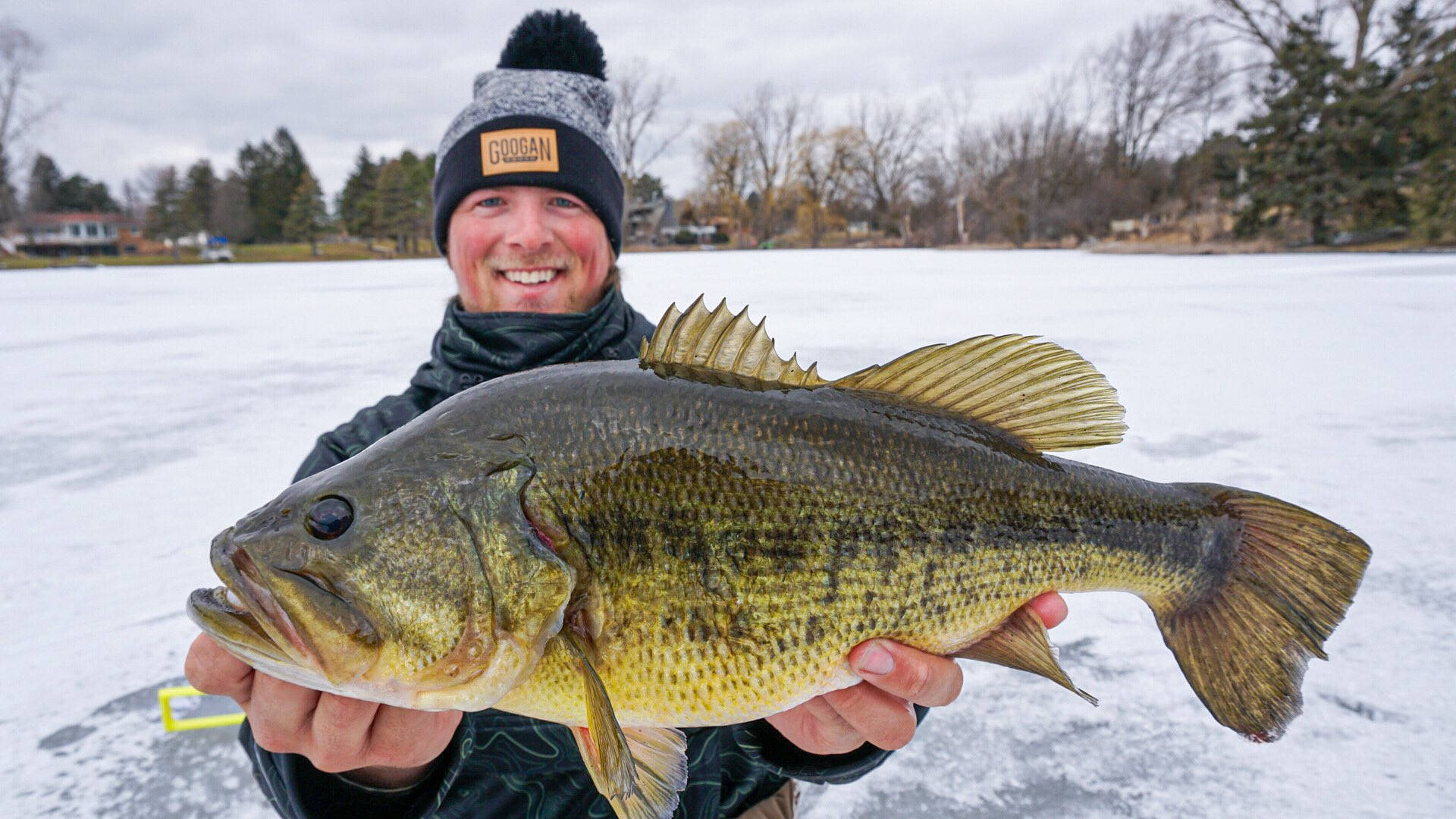 Winter Fishing For Bass
